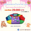 โปรโมชั่น Kid zone เครื่องเล่นสนามในร่ม ,นุ่มนิ่ม , บ่อบอลนุ่ม,ของเล่นสนาม,สนามเด็กเล่นบ่อบอล ,ปีนป่ายนุ่ม ,พร้อมส่งในไทย