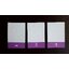 บัตรภาพ Flashcards บัตรคำศัพท์ ภาษาอังกฤษ ทุกหมวดหมู่ ของเล่นเสริมพัฒนาการ