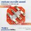เทอมินอล สี่เหลี่ยมตัดมุม หรือ สะพานไฟ มอเตอร์ ขนาดรูยึด 100mm ขนาดน็อต 8mm รุ่น Y2-200-225 ไซด์กลาง (M) สีของอุปกรณ์ไม่มีผลต่อการใช้งาน