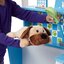 ชุดเคาท์เตอร์คลีนิครักษาสัตว์ สัตวแพทย์Animal Vet Care Activity Center, Melissa&Doug, รุ่น 31700 ของเล่นเสริมพัฒนาการ, ของเล่น