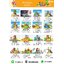 cattalog แคตตาล็อครวม เครื่องเล่นสนาม เฟอร์นิเจอร์ บ้านบอลเด็ก ห้องบอลเด็ก นุ่มนิ่ม
