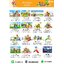 cattalog แคตตาล็อครวม เครื่องเล่นสนาม เฟอร์นิเจอร์ บ้านบอลเด็ก ห้องบอลเด็ก นุ่มนิ่ม