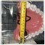 0209 ฟันจำลองขนาด 6.5" พร้อมแปรง โมเดล ฟันจำลอง พร้อมแปรง, ของเล่นเสริมพัฒนาการ, ของเล่นเด็ก, สื่อการสอน