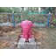 เครื่องเล่นสนามสุดอลังการ Kids zone X,เครื่องเล่นเด็ก, สนามกลางแจ้ง ,สวนสนุก, ของเล่นสนาม, สวนสาธารณะ,ครุภัณฑ์สนามเด็กเล่น, สพฐ,โครงการโรงเรียนประชารัฐ เทศบาล ศูนย์พัฒนาเด็กเล็ก