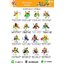 cattalog แคตตาล็อครวม เครื่องเล่นสนาม เฟอร์นิเจอร์ บ้านบอลเด็ก ห้องบอลเด็ก นุ่มนิ่ม