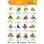 cattalog แคตตาล็อคเครื่องเล่นสนาม รวมทุกโครงสร้างเสา เครื่องเล่นสนามกลางแจ้ง-ในร่ม,ครุภัณฑ์สนามเด็กเล่น,งบ.สพฐ,โครงการโรงเรียนประชารัฐ,