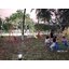 เครื่องเล่นสนาม กลางแจ้ง เหล็ก,ม้าหมุน เครื่องบินหมุน 4 ที่ Outdoor Playground, ราคาโรงงาน สินค้าสั่งผลิต 10-20 วัน