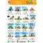 cattalog แคตตาล็อครวม เครื่องเล่นสนาม เฟอร์นิเจอร์ บ้านบอลเด็ก ห้องบอลเด็ก นุ่มนิ่ม