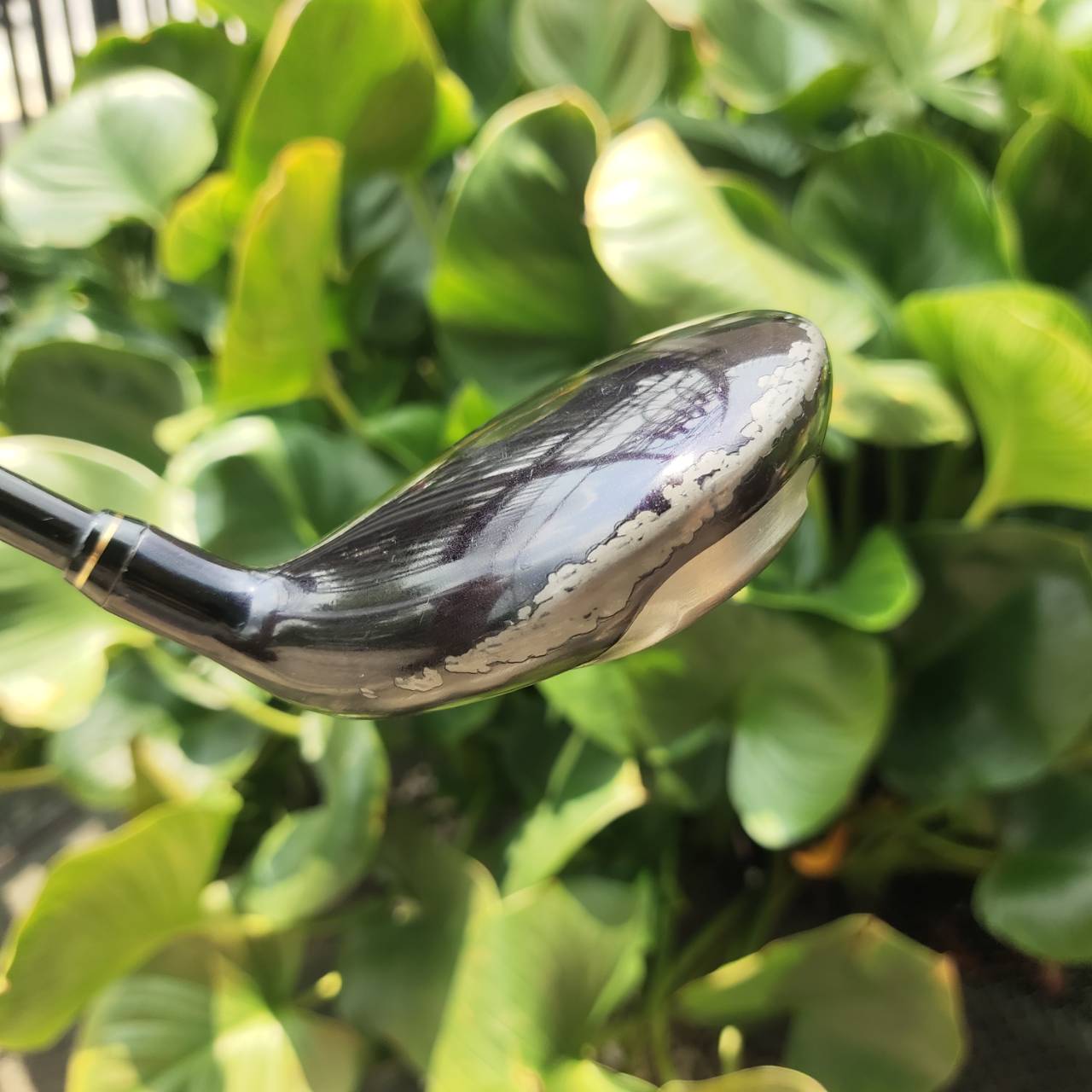 W5 XXIO TOUR SPEACIAL AX-SOLE ช่วยสร้าง CG ที่ดีที่สุด วัสดุ TITANIUM สุดพรีเมี่ยม ญี่ปุ่น
