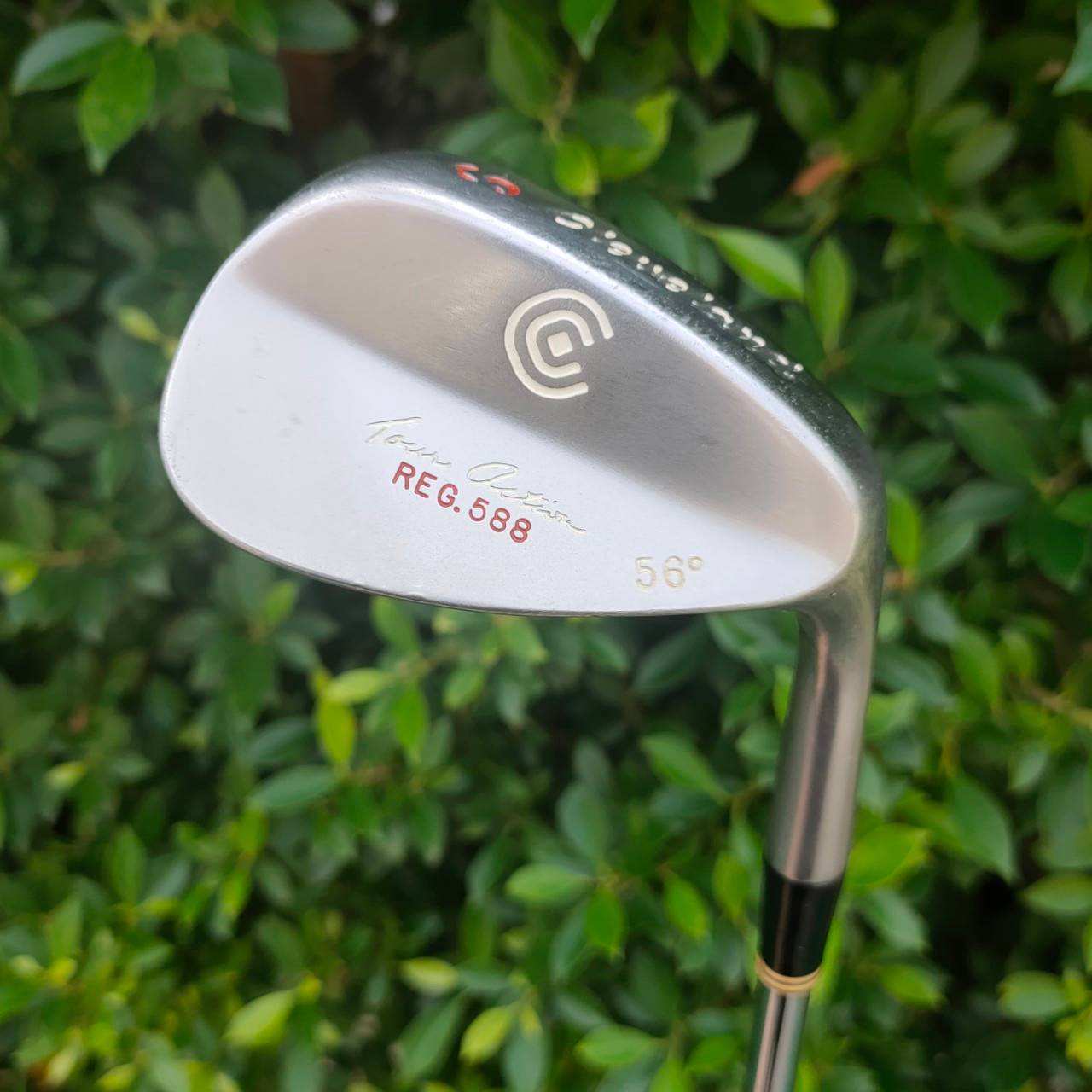 🏌️ WEDGE CLEVELAND REG 588 องศา 56 ก้าน FLEX WEDGE รุ่นดังมากที่สุดของ CLEVELAND 588 ชิพง่าย ติดสปินได้ดีมาก หน้าใบยังสวยๆ ไม้กอล์ฟมือสอง ของแท้ BY NakaraLuxurious