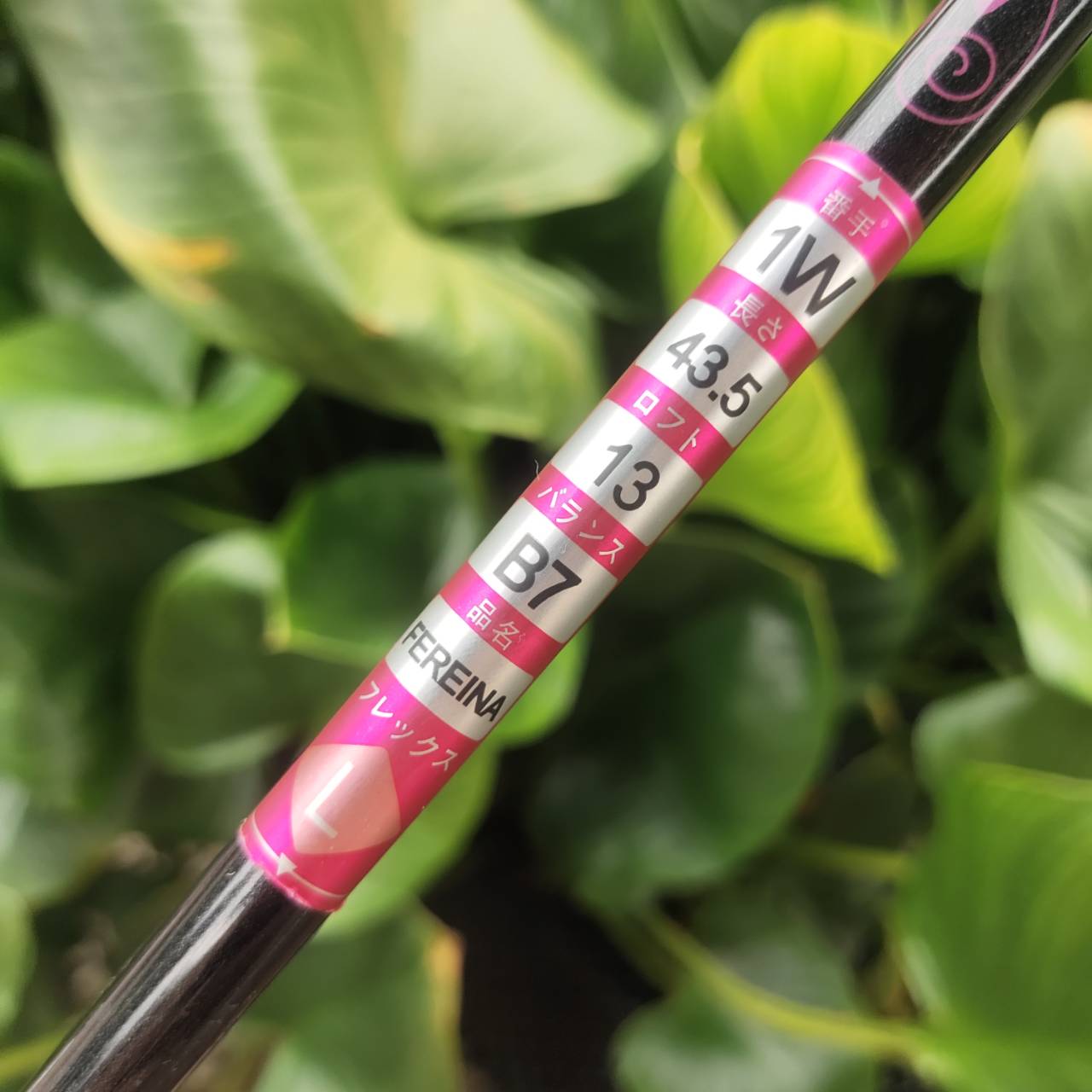 KASCO FEREINA ชุดไม้กอล์ฟระดับพรีเมียมสำหรับสุภาพสตรี เบา ตีง่าย ดีไซน์สวยงามจากประเทศญี่ปุ่น