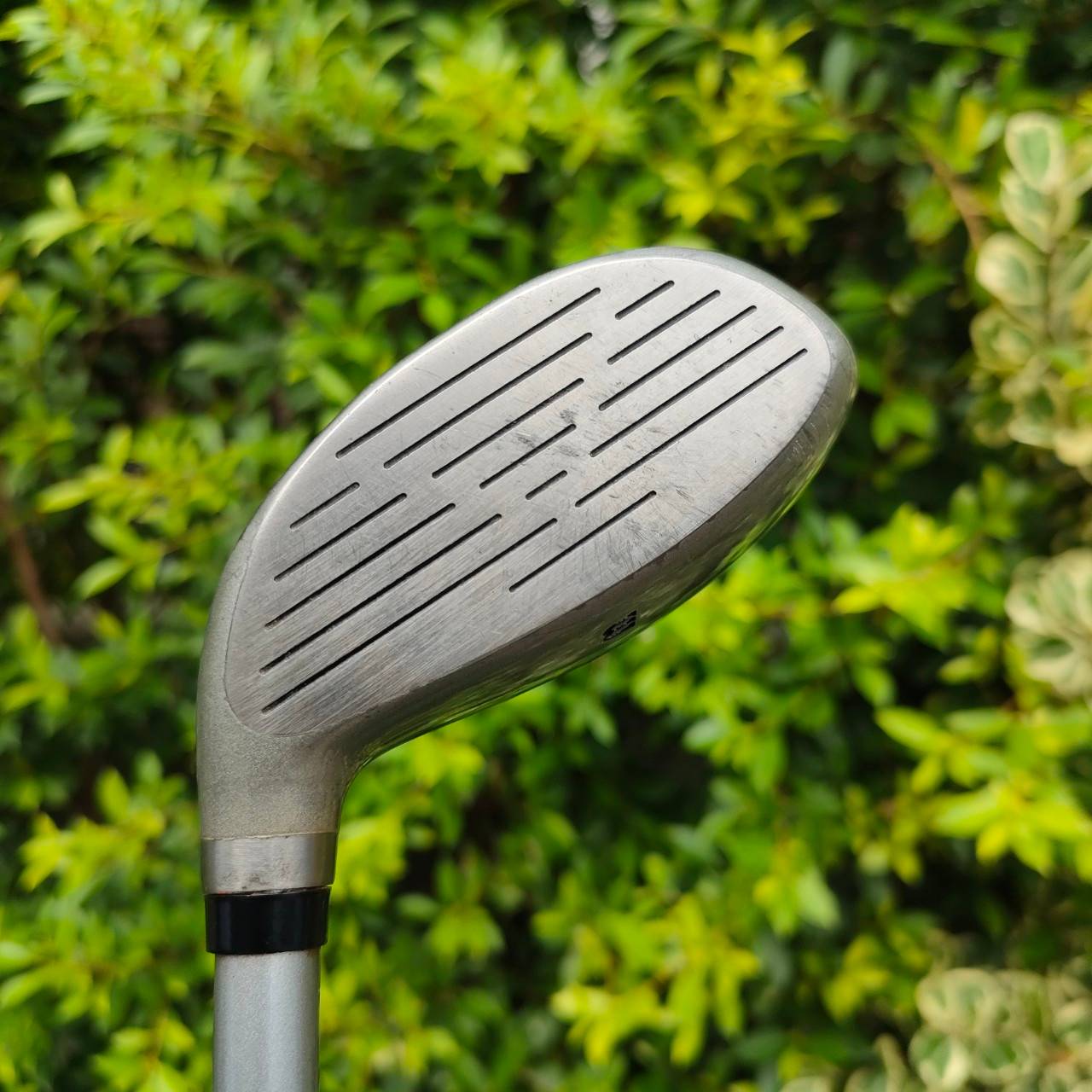 FW3 WILSON FATSHAFT องศา 14 ก้าน FATSHAFT FLEX R หัวไทเทเนี่ยม คุณภาพดีมาก ตีง่าย และเป็นรุ่นก้านอ้วน ลดกานสั่งสะเทือน ได้ดีมากๆทำให้ตีแม่นมากกกกก และความคุมทิศทางได้เป็นอย่างดี ระยะมาดีสุดๆ มือใหม่ยิ่งตีง่าย มาพร้อม Cover เดิมๆ ตรงรุ่น ราคาพิเศษสุดข๊อคกั