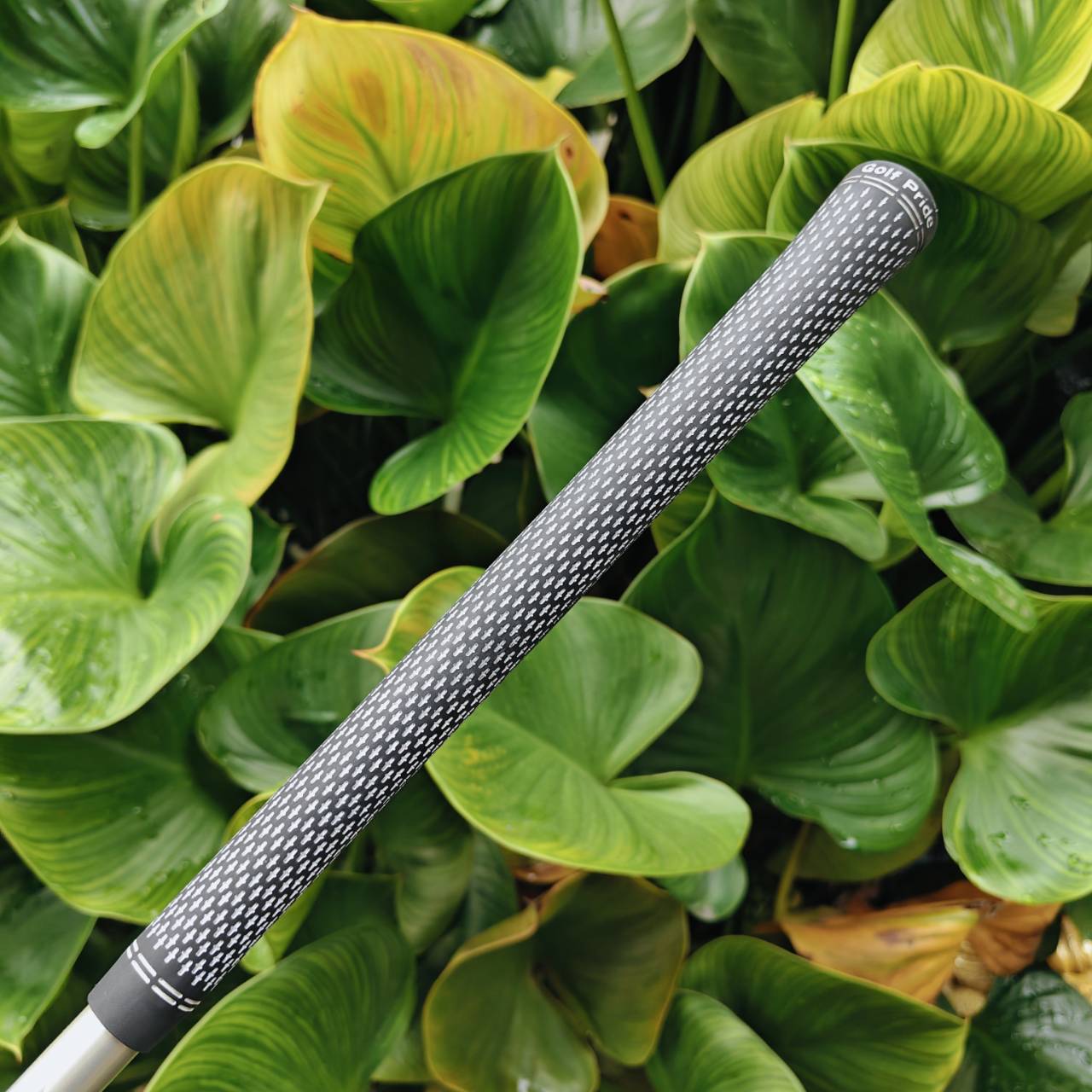 เหล็ก 6 Titleist T300 | ก้าน FUJIKURA MCI FLEX S | ประสิทธิภาพสูง ตีไกล ตรงทุกช็อต ⛳️