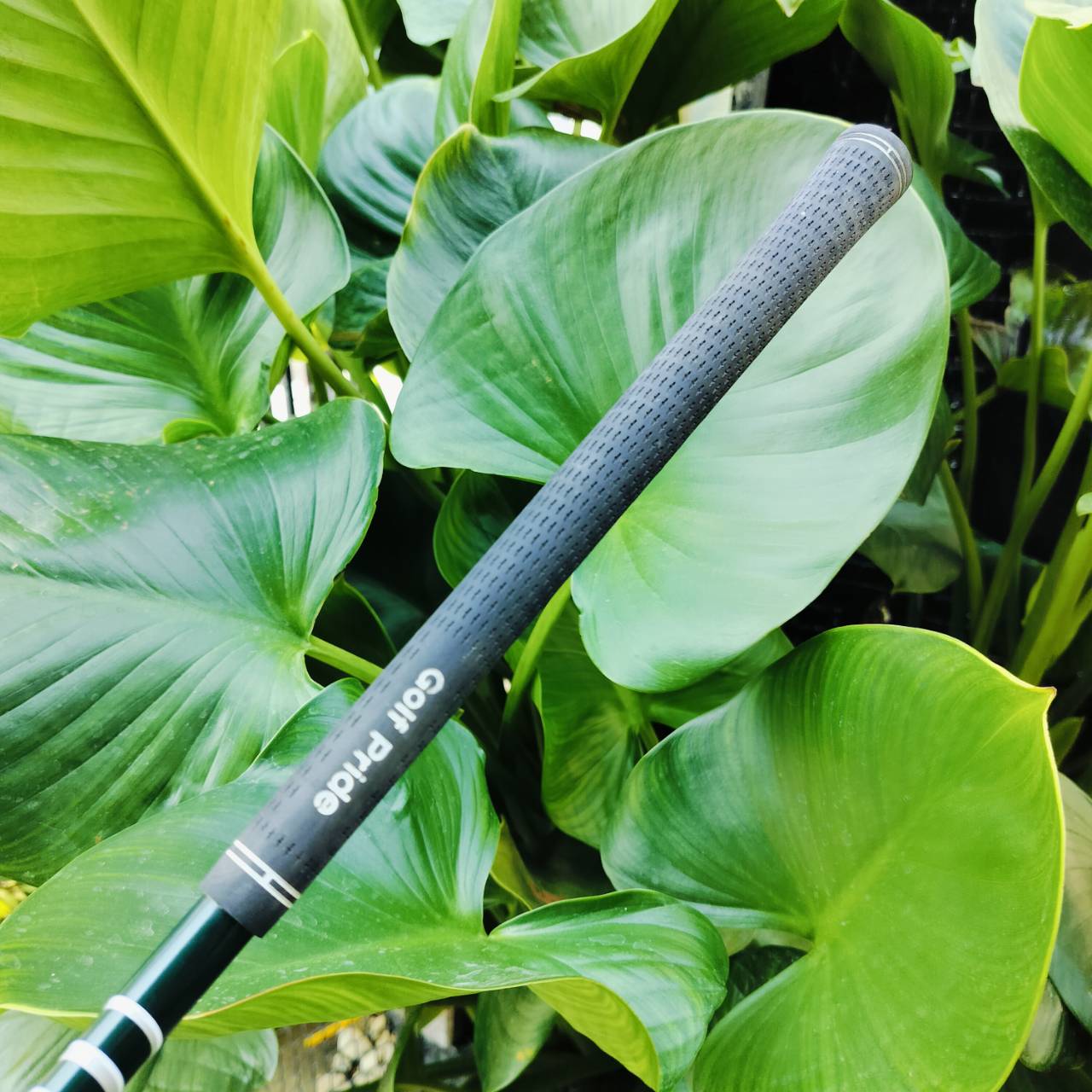ลดราคาพิเศษ!!! ชุดเหล็กไฮบริดหน้าเด้งพรีเมี่ยมญี่ปุ่น!!! ชุดเหล็ก KATANA SNiPER IRON LX9 ชุดใหญ่ มีเหล็ก 4-9 เเละ PW AW SW ตัวของ WEDGE A และ S สำหรับ WEDGE ระเบิดทรายง่าย ตีลงทราย ขึ้นแน่นอน ชิพง่าย เด้งๆเลยค่ะ ไม้กอล์ฟพรีเมี่ยมมือสอง ของแท้ By NakaraLux