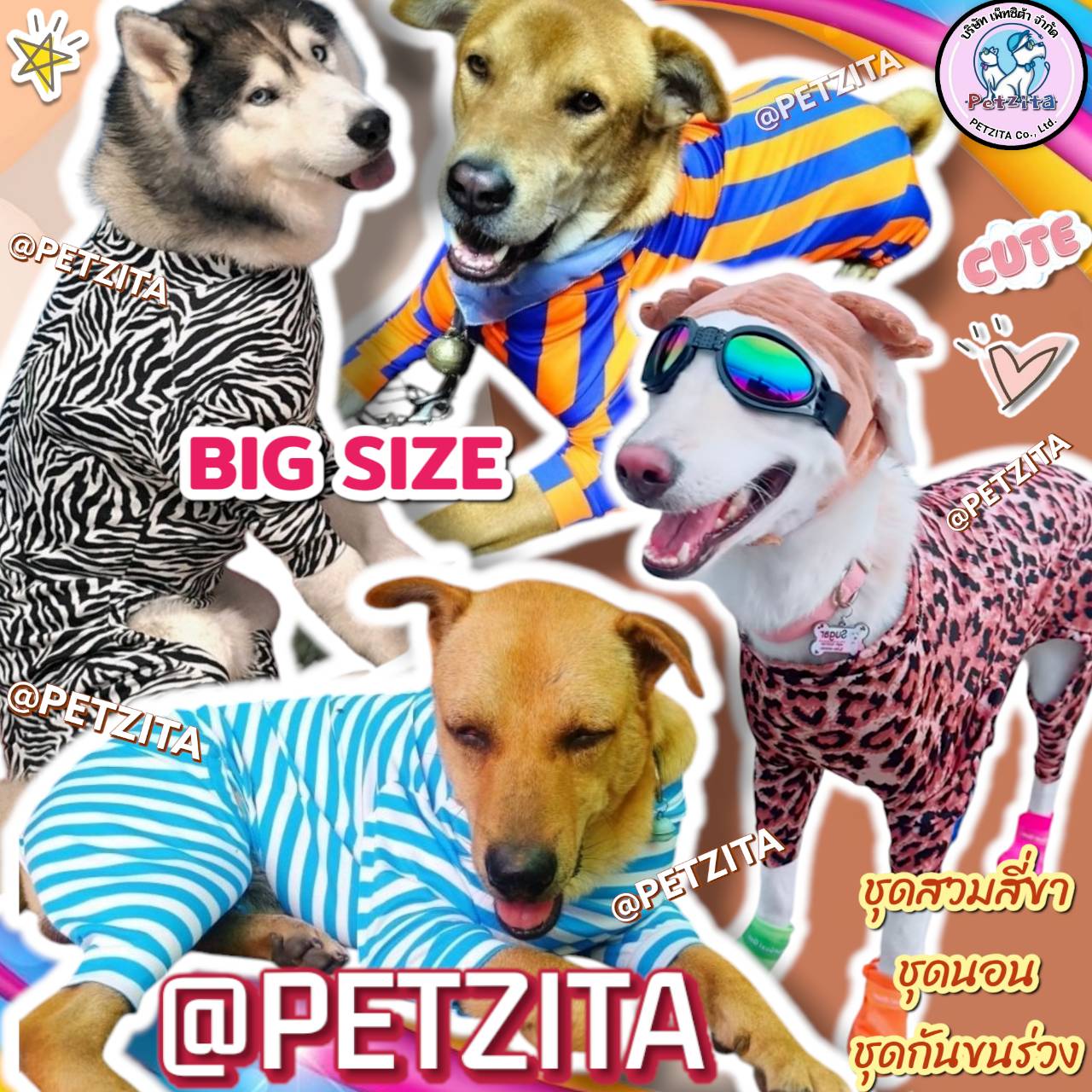 🇹🇭พร้อมส่ง🇹🇭 🐕 💥(ลิ้งค์ที่3) BIG SIZE ชุดสี่ขา ชุดกันขนร่วง สุนัขพันธุ์ใหญ่ หมาใหญ่ เสื้อหมา โกลเด้น ลาบาดอร์ ไซบีเรียน เสื้อสุนัข หมาอ้วน
