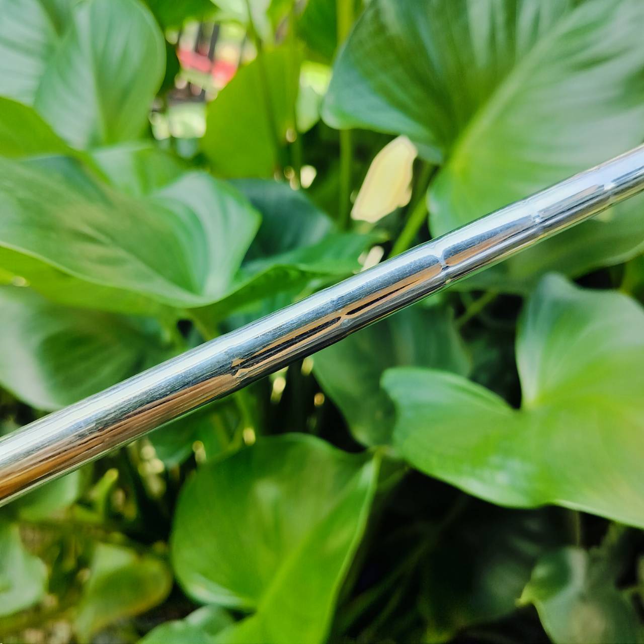 WEDGE MARUMAN M-SERIES องศา 50 ก้าน WEDGE ชิพแม่นยอด เข้าบอล สอดบอลดีมาก ชิพง่ายมาก และขึ้นกรีนได้แบบสนุกๆ ไม้กอล์ฟพรีเมี่ยมมือสอง ของแท้ By NakaraLuxurious