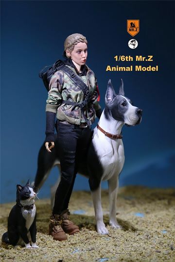 [สั่งจอง]Mr. Z Animal Model No.37: 1/6th The German Great Dane(all 6 colors)