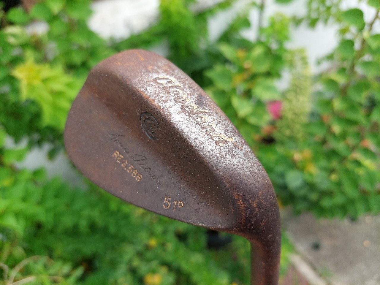WEDGE CLEVELAND REG588