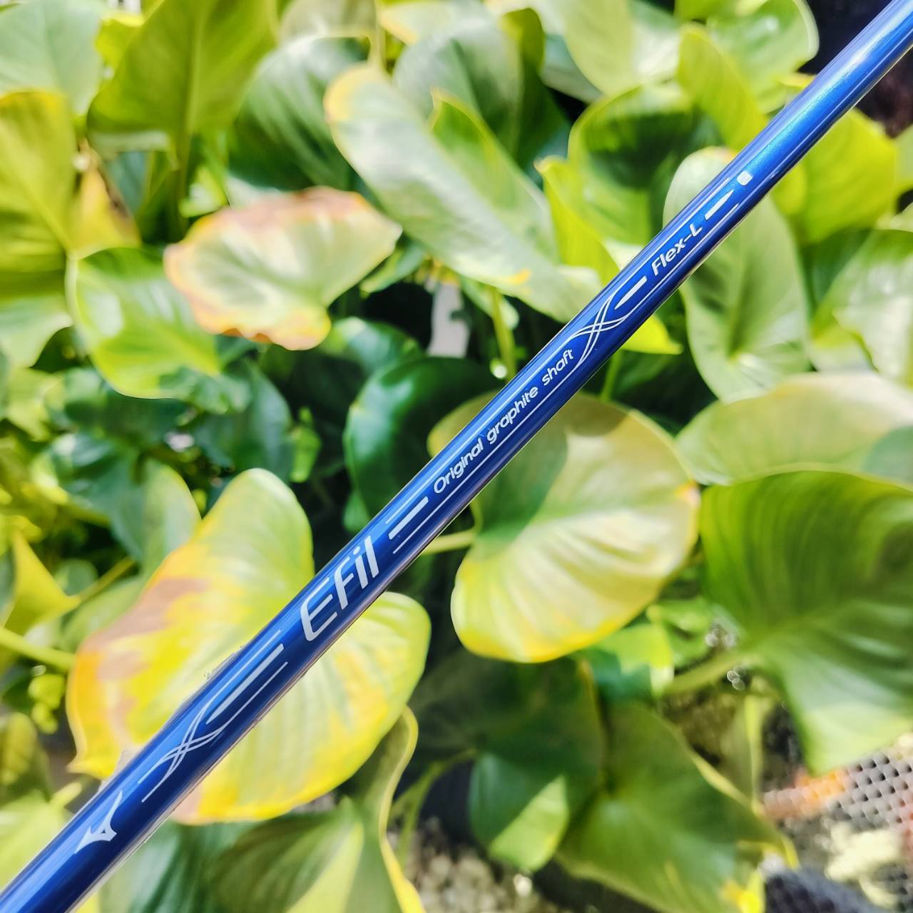 *** ไม้กอล์ฟผู้หญิง *** สภาพสวยนางฟ้าเหมือนซื้อใหม่!!! ชุดไม้กอล์ฟ Mizuno EFIL 8 มีดีไซน์ที่ทันสมัย โทนสีม่วงพร้อมลวดลายดอกไม้ที่สวยงาม เหมาะสำหรับนักกอล์ฟหญิงที่ต้องการความสวยงามควบคู่กับประสิทธิภาพในการเล่น