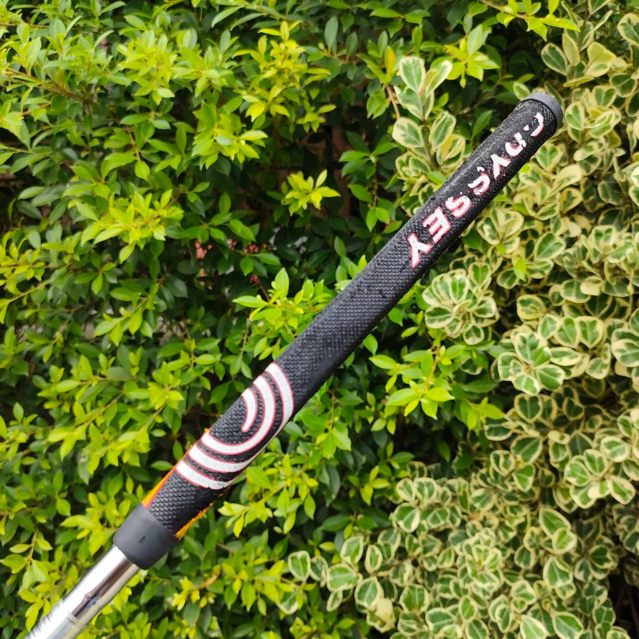 PUTTER ODYSSEY WHITE ICE 4 355 ความยาว 33 นื้ว ก้าน ODYSSEY สภาพสวยงามเดิมๆ พัตต์ดีมาก ถ่วงน้ำหนักบล๊านซ์ทั้งสองข้าง เป็นรุ่นที่น่าเล่นที่สุด ด้านหลังยื่นเล็กน้อย ทำให้ HIGH M.O.I. ชดเชยได้สูงขึ้น พัตต์ได้ตรง แม่นยำ เล็งง่ายมาก *** กริพมีลอกติดมือ เก็บไว้