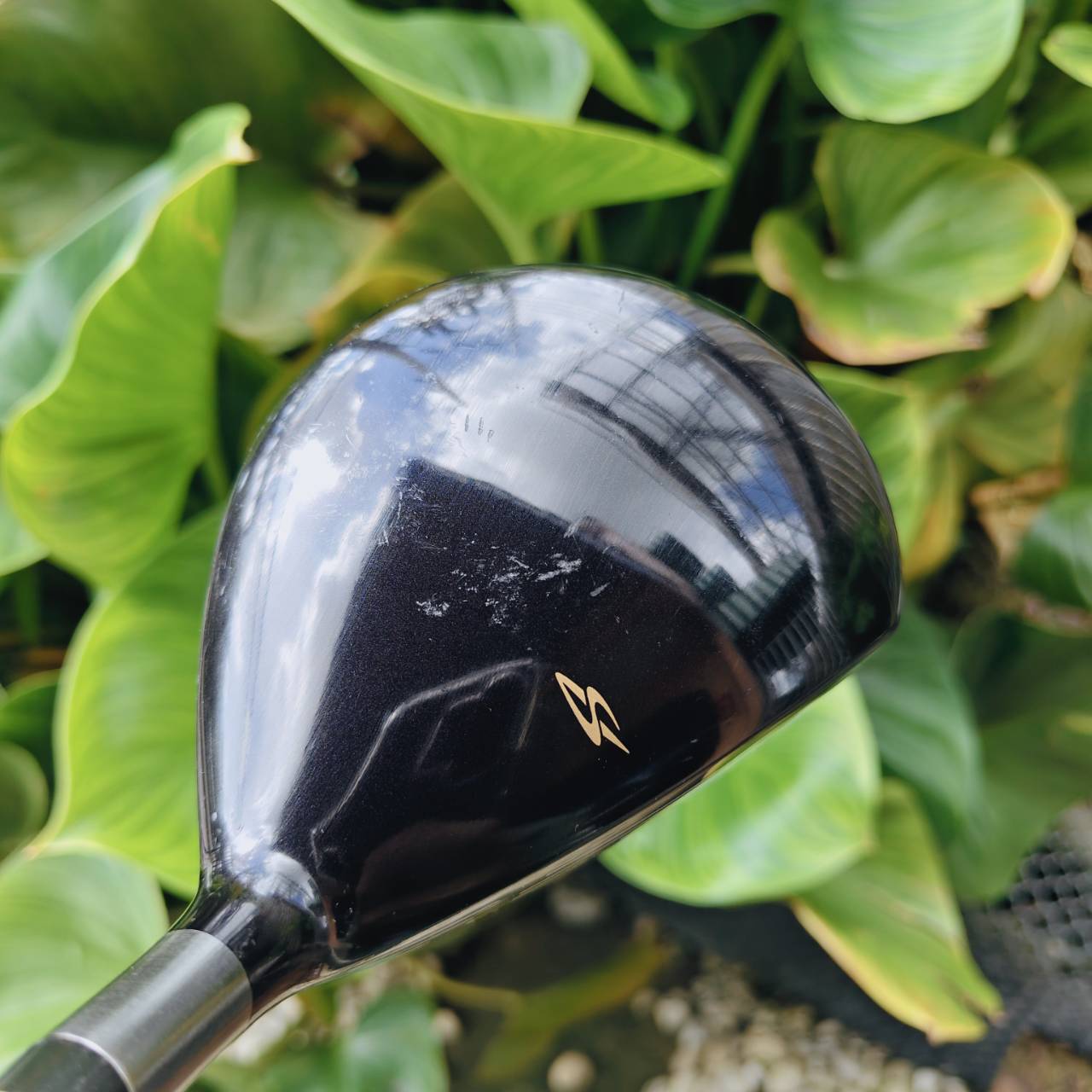 มือซ้ายตัวเด็ด!! FW5 MARUMAN SHUTTLE หน้าเด้ง MARAGING องศา 18