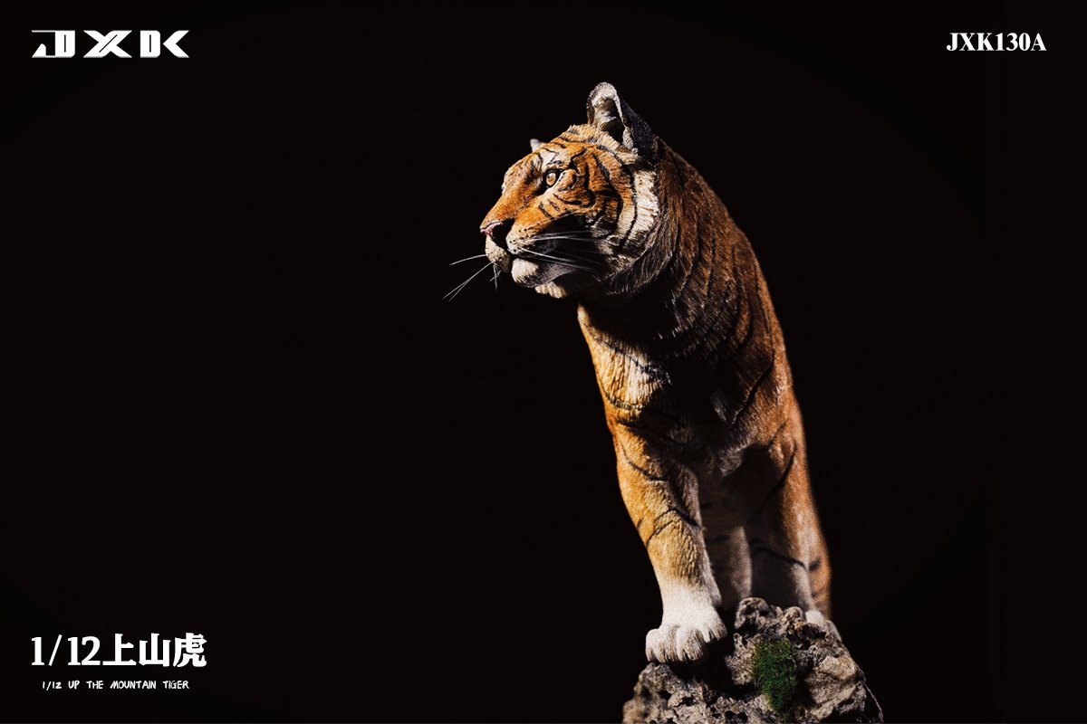 [สั่งจอง]JXK JXK130 1/12 : Up The Mountain Tiger