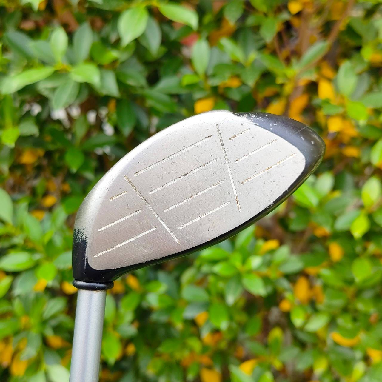 FW3 CALLAWAY BIG BERTHA STEELHEAD PLUS ก้าน STEELHEAD PLUS FLEX R ก้านแบบเจาะทะลุ ใน FW ได้ฟีลมาก ตีลูกลอยง่าย วัสดุดีที่สุดใน FW รุ่นนี้เป็นรุ่นยอดนิยมครับ