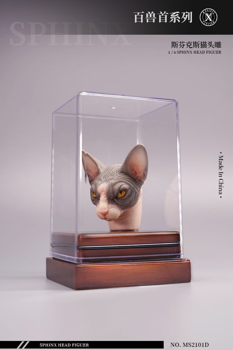[พร้อมส่ง]Mostoys MS2101D 1/6 : Sphinx Head Figuer Pure Color Edition