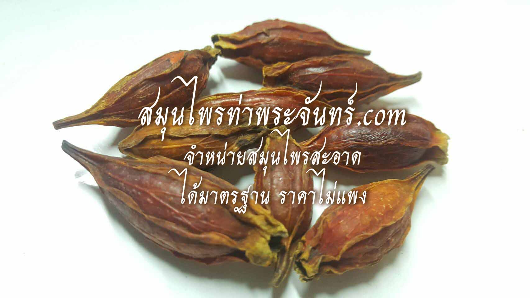 Dried Gardenia Fruit