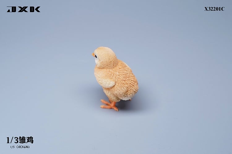 [สั่งจอง]JXK : Scottish Fold/Chckling/Duckling