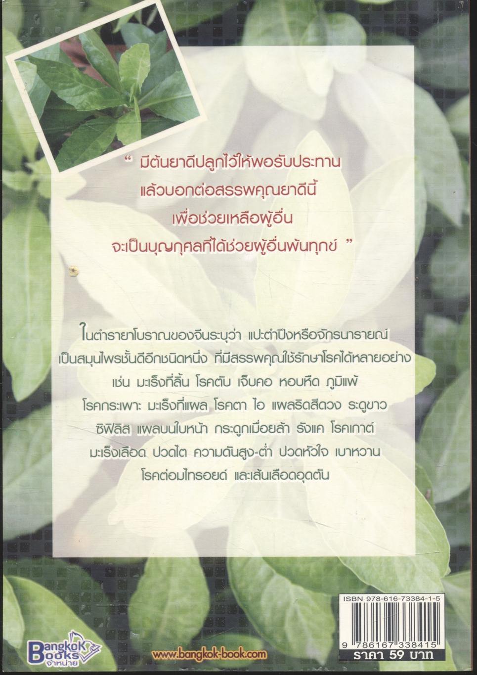 แปะตำลึงสมุนไพรน่าทึ่ง พืชมหัศจรรย์ รักษามะเร็ง