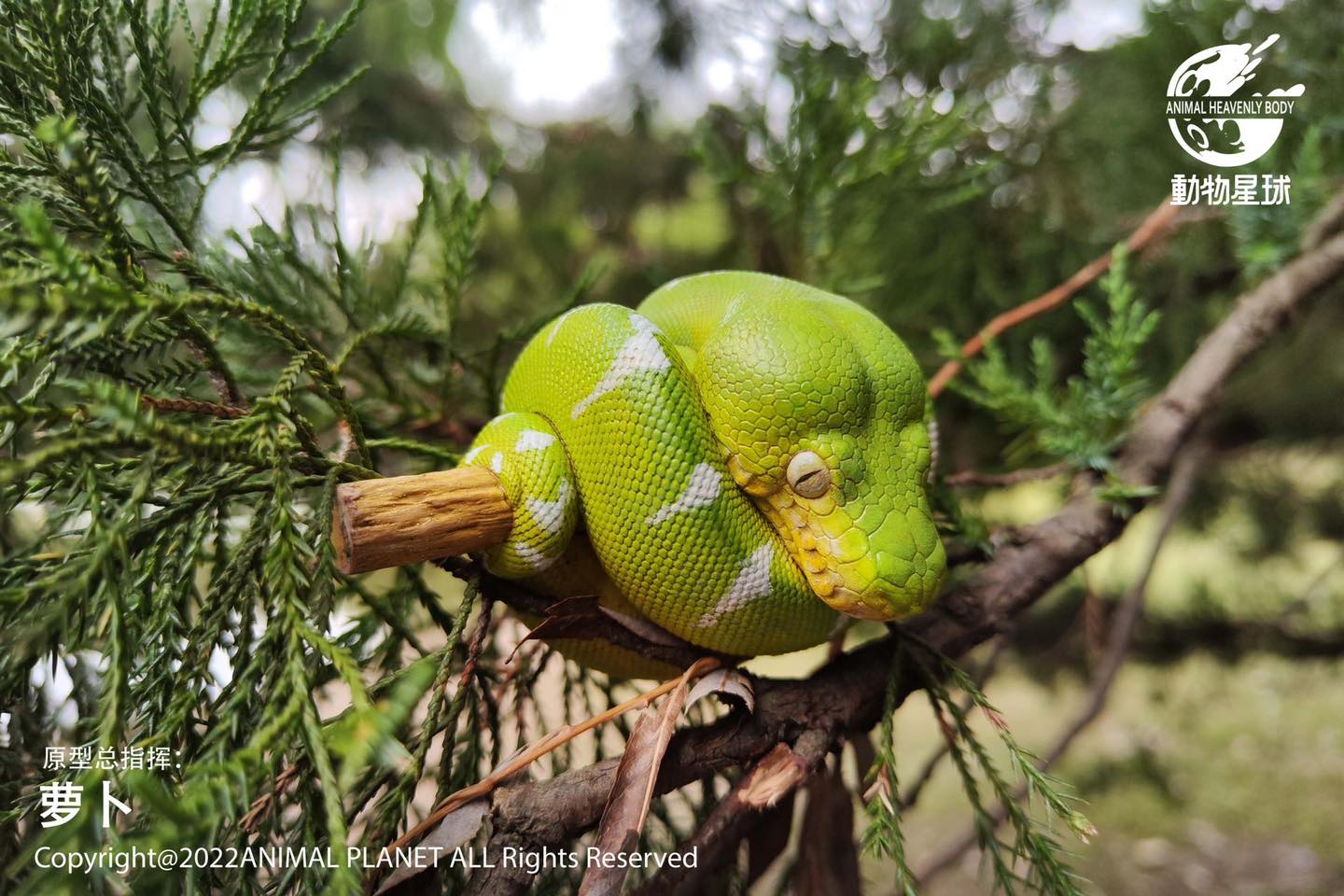 [สั่งจอง]Animal Planet : a series of laugh and grow fat No.9