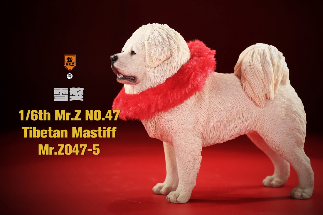 [สั่งจอง] MR. Z Animal Model MRZ047 1/6th Tibetan Mastiff