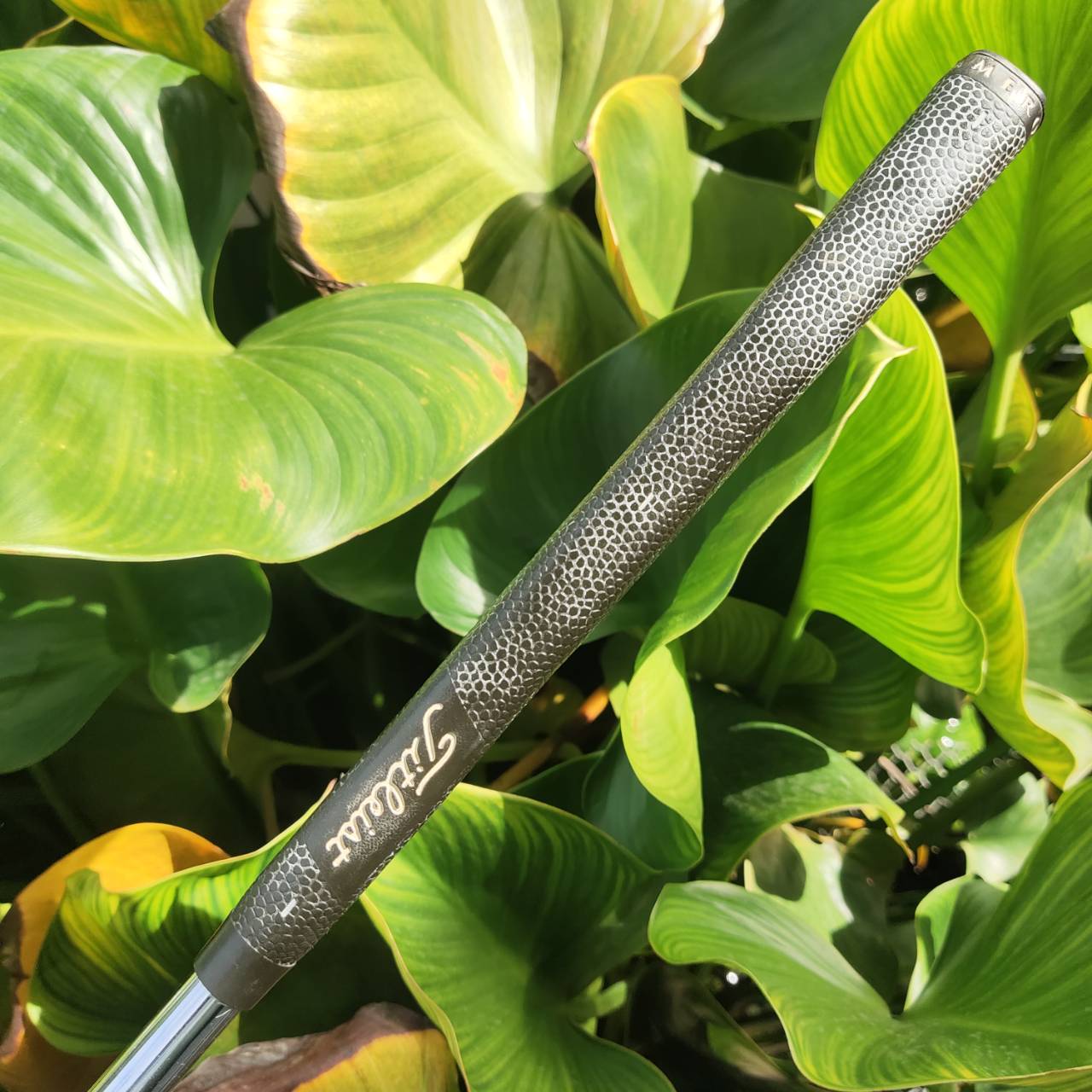 สุดยอดของ CAMERON Teryllium/Tel³ (อัลลอย์ 12 โลหะ) PUTTER Scotty Cameron Newport® 2 Long Neck