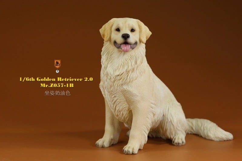 [สั่งจอง]Mr.Z MRZ057 1/6 : Golden Retriever 2.0