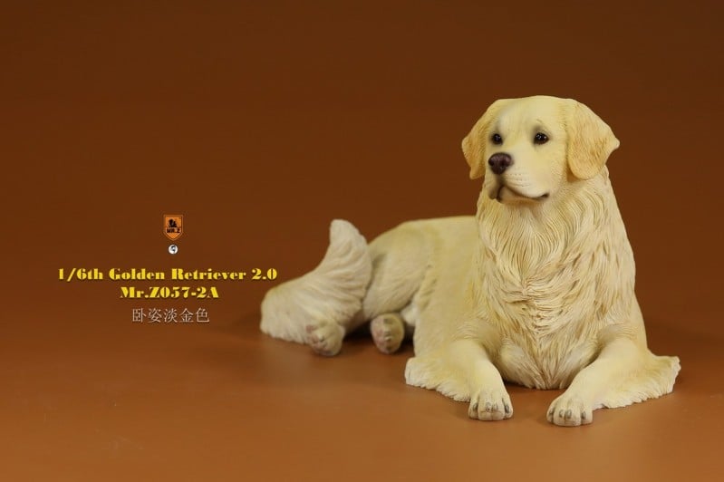 [สั่งจอง]Mr.Z MRZ057 1/6 : Golden Retriever 2.0