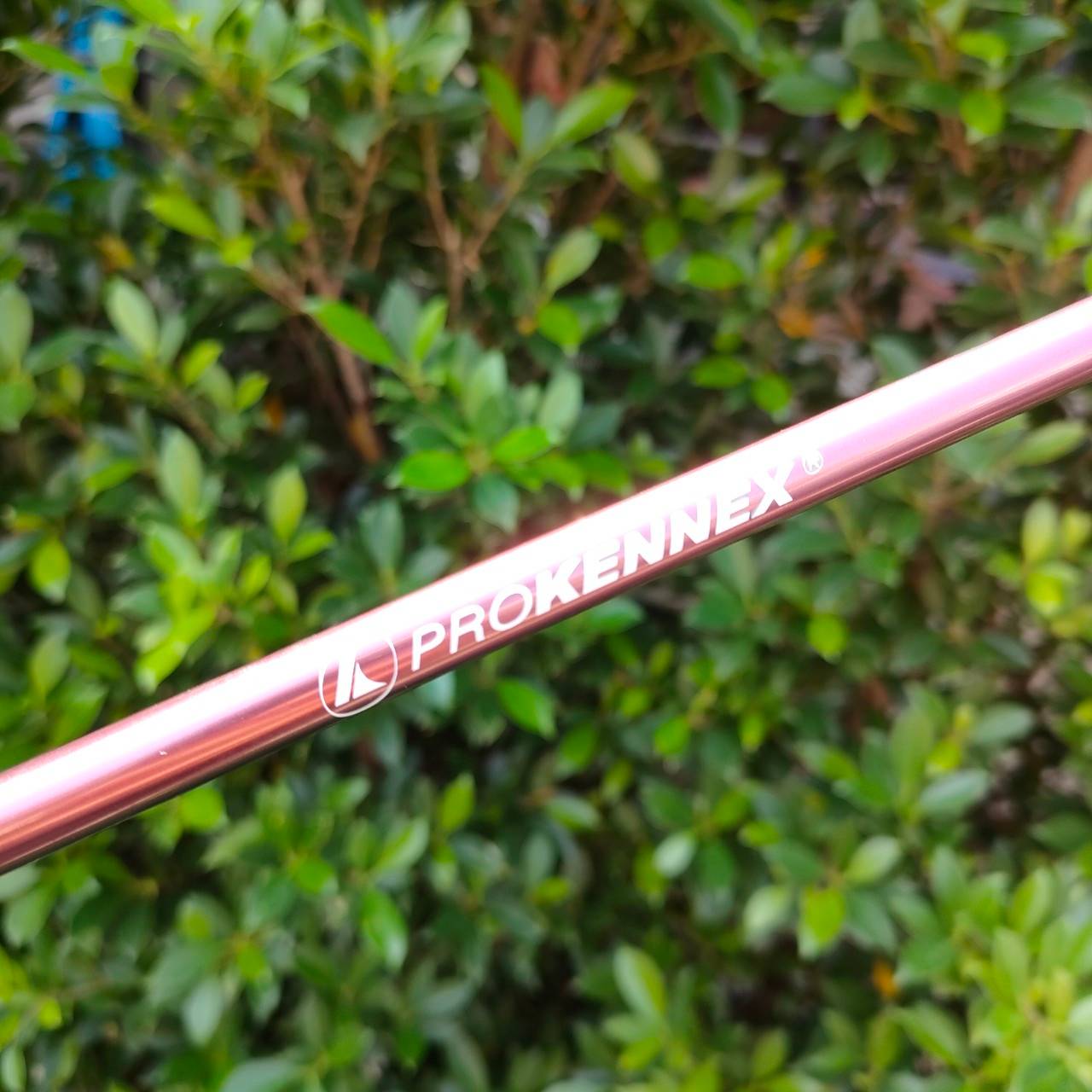 ไม้กอล์ฟครบชุดสำหรับผู้หญิง PROKENNEX SIGMA ได้หัวไม้ถึง 4 หัว มีออฟเซ็ท ตีง่าย Drive ไกล น้ำหนักเบามาก
