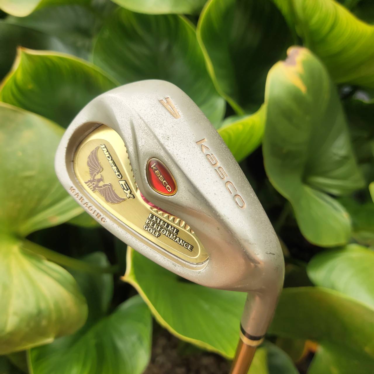 AW KASCO INDEED EX MARAGING!!! หน้าเด้งจัดๆ ตีง่ายมาก