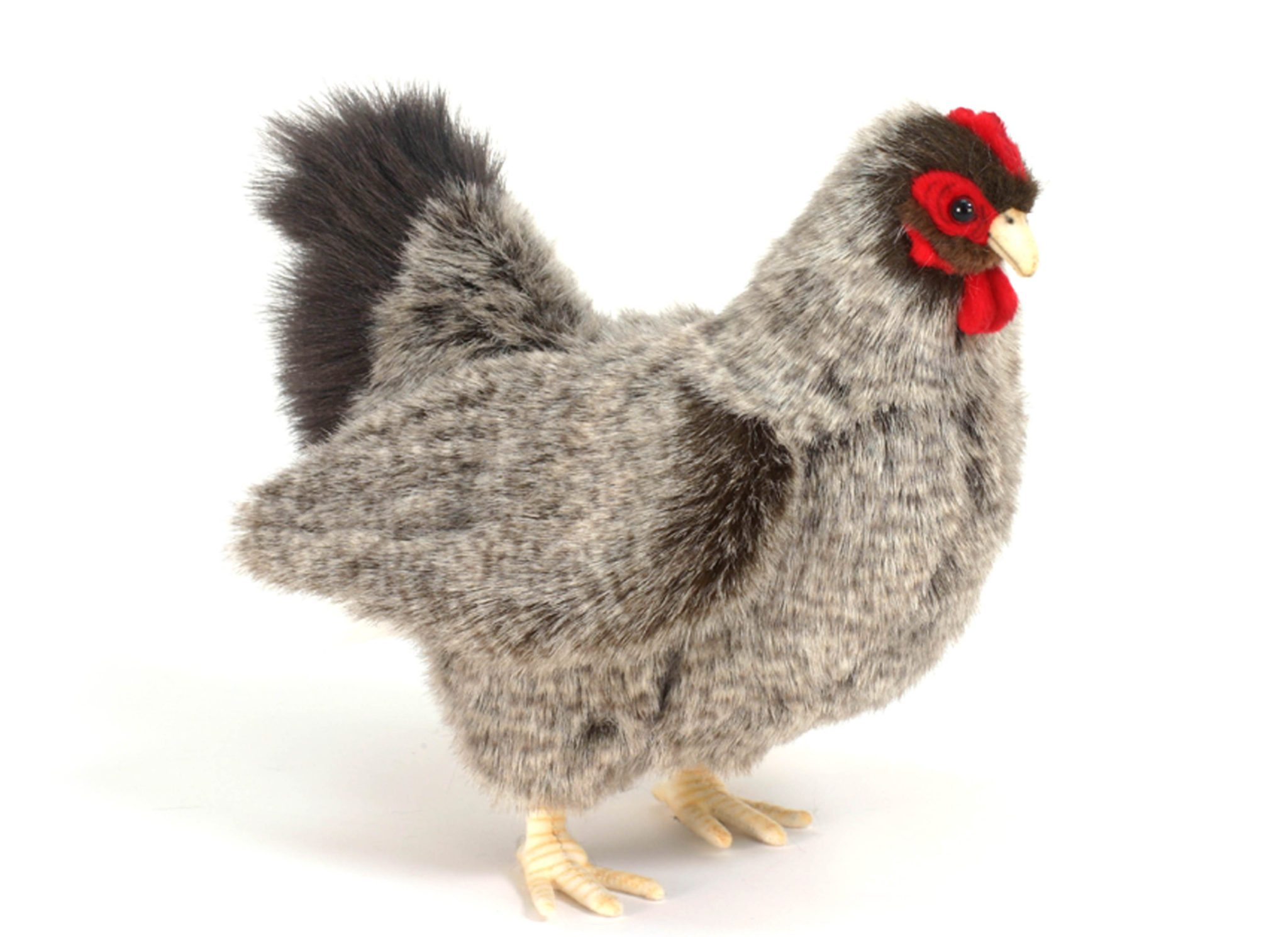 5622 Gray Hen 30cm.H