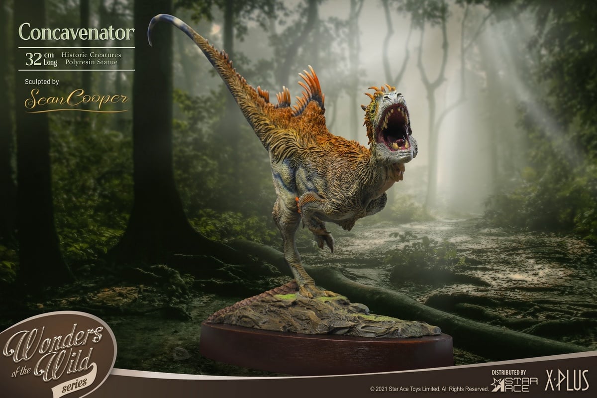 [สั่งจอง] X-Plus / STAR ACE SA5002 : WONDER WILD series Concavenator Statue