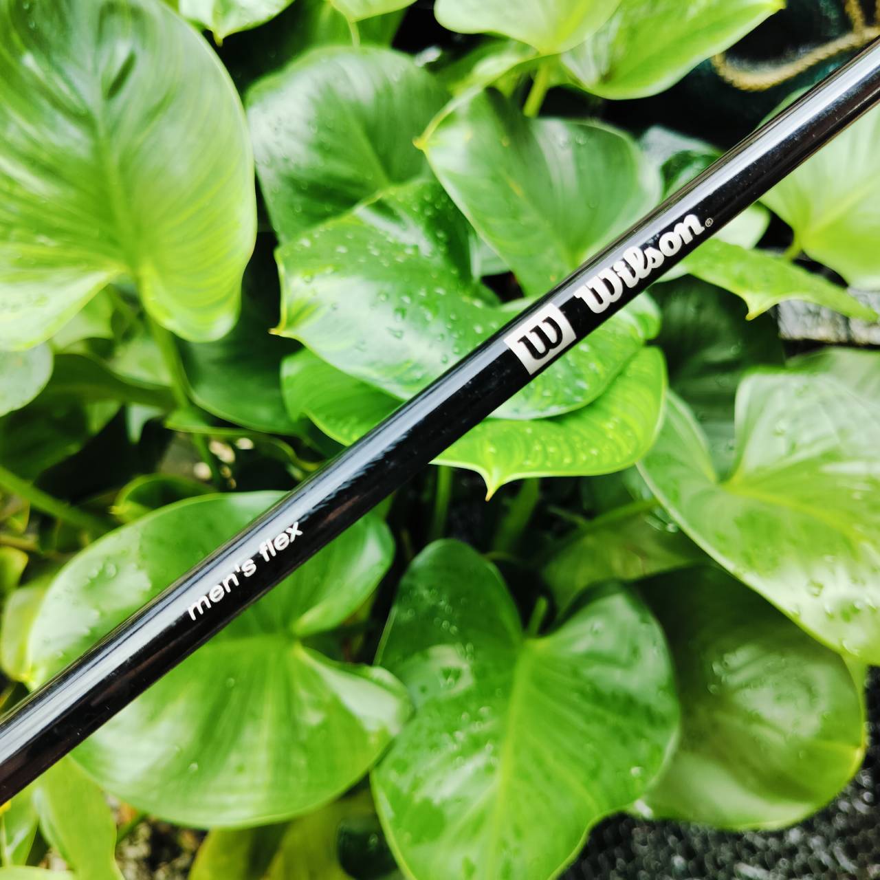 ชุดเหล็ก WILSON X-31 MUSCLE BACK TECNOLOGY ก้าน MEN'S FLEX ของผู้ชาย มีตั้งแต่เหล็ก 3 - 9 PW SW ครบๆ ใบ CAVITY ตีง่ายมาก ไม้กอล์ฟมือสอง ของแท้ By NakaraLuxurious