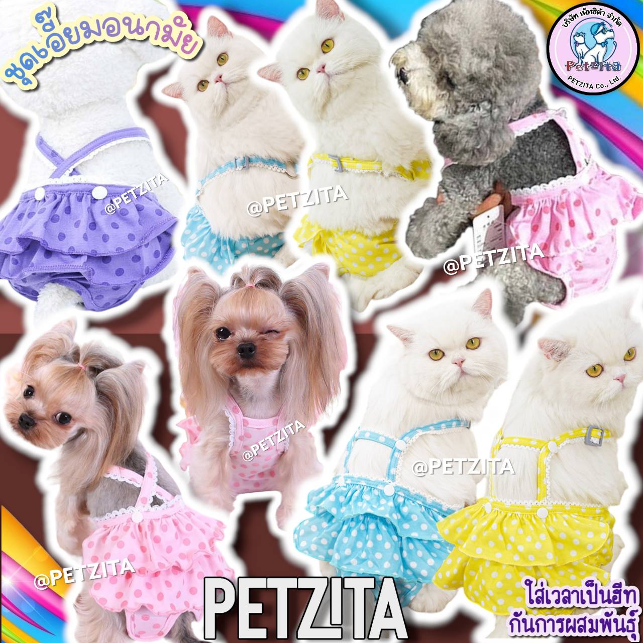 🇹🇭พร้อมส่ง🇹🇭 💕🐶🥰 ชุดเอี๊ยมกางเกงอนามัยสุนัขตัวเมีย / แมว สไตล์น่ารัก เสื้อผ้าสัตว์เลี้ยง สุนัข หมา