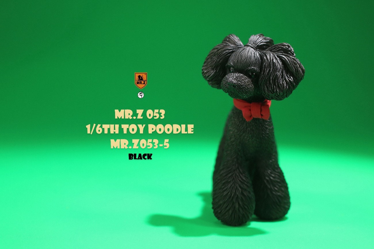 [สั่งจอง]Mr.Z MRZ053 animal model 1/6 : Toy Poodle