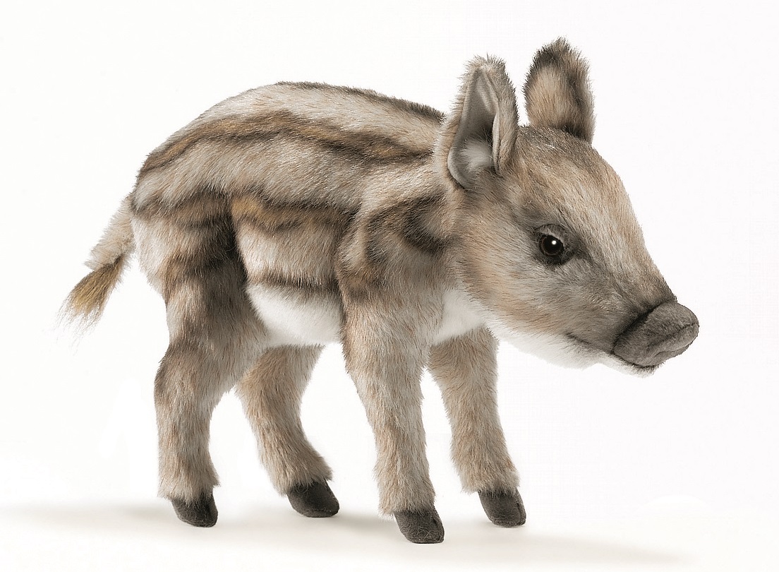 5026 Wild Pig Baby Standing 33 cm.L