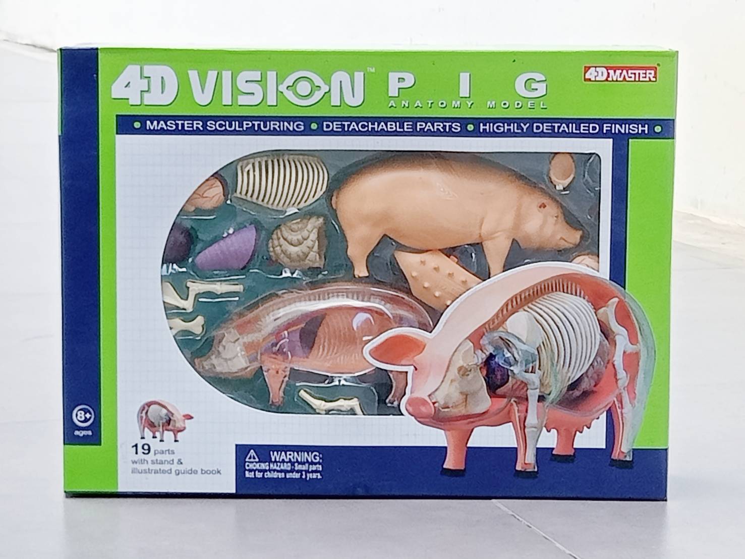 โมเดลหมู(4D Vision) ของเล่นเสริมพัฒนาการ, สื่อการสอนเด็กอนุบาล สื่อการสอนปฐมวัย