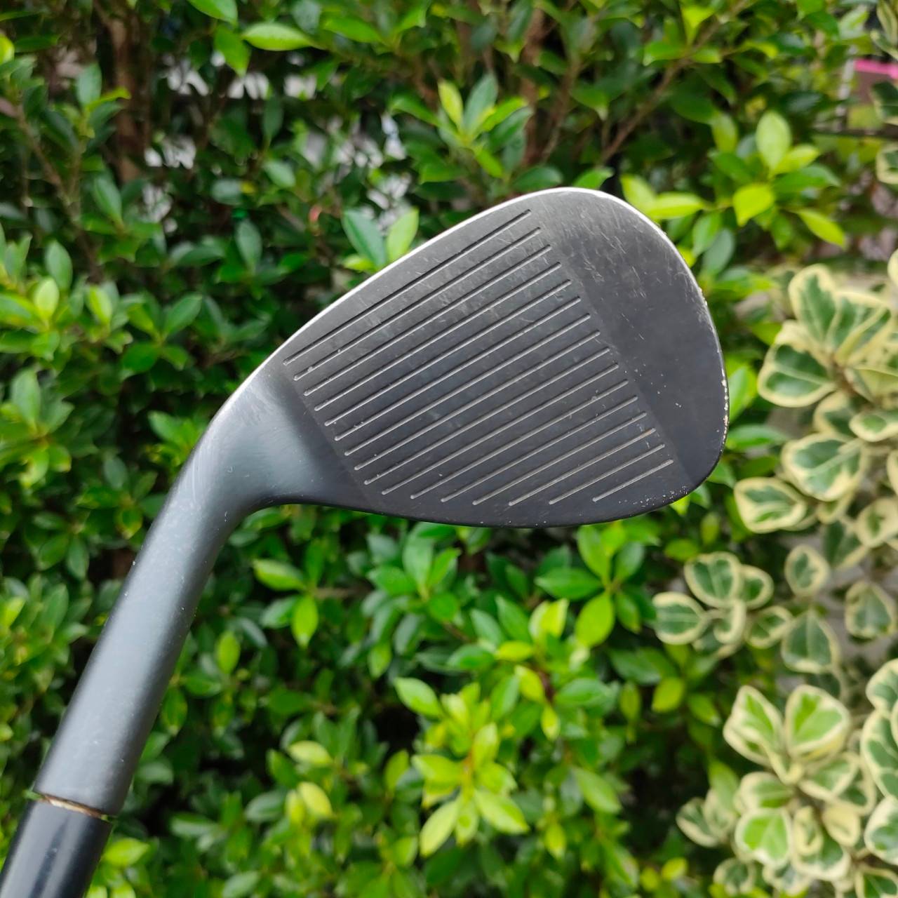 WEDGE NIKE SV TOUR องศา 58 BOUNCE 10 ก้าน N.S.PRO 950 GH FLEX WEDGE หัวดี ก้านดี ดีไซน์ดีมาก ชิพมันส์ เทห์ สปอร์ตครับ สปินได้ดีมาก