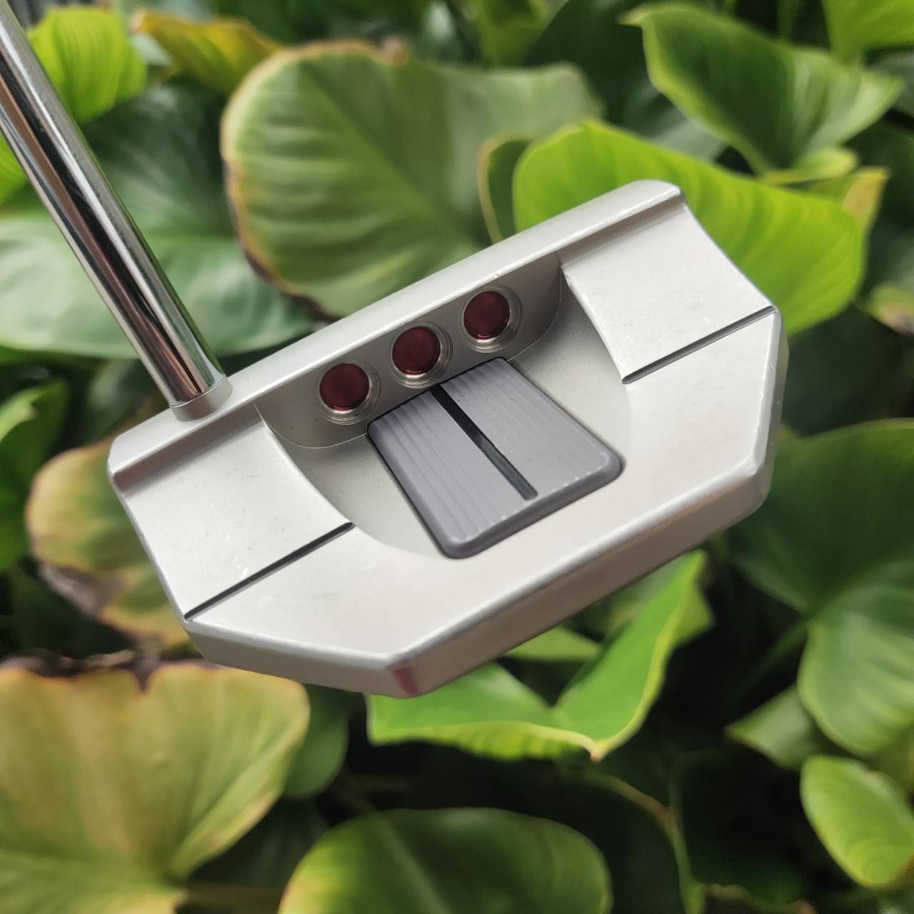 PUTTER SCOTTY CAMERON GOLO 5 ฟีลลิ่งที่แน่น นุ่ม ลึกแบบ “Tour-Preferred” ชดเชยสูงที่สุด!