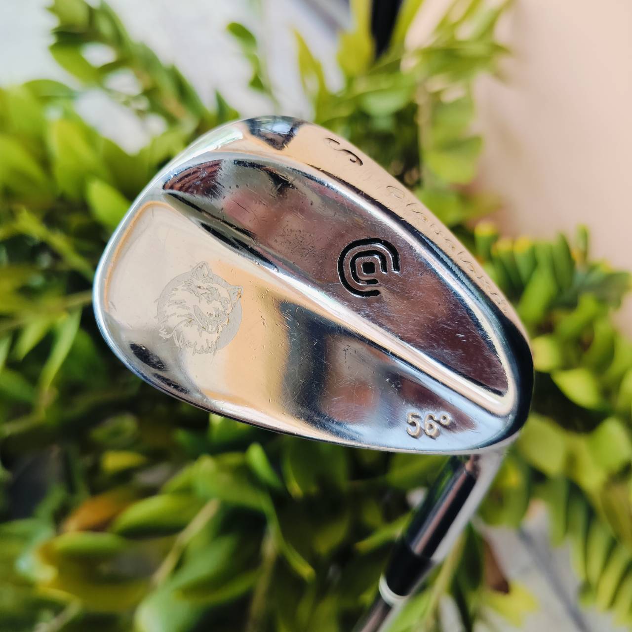 WEDGE CLEVELAND องศา 56 สกรีนลายหมาป่า สวยดุดันมากๆ วัสดุ FORGED พรีเมี่ยม ไม้กอล์ฟพรีเมี่ยมมือสอง ของแท้ By NakaraLuxurious