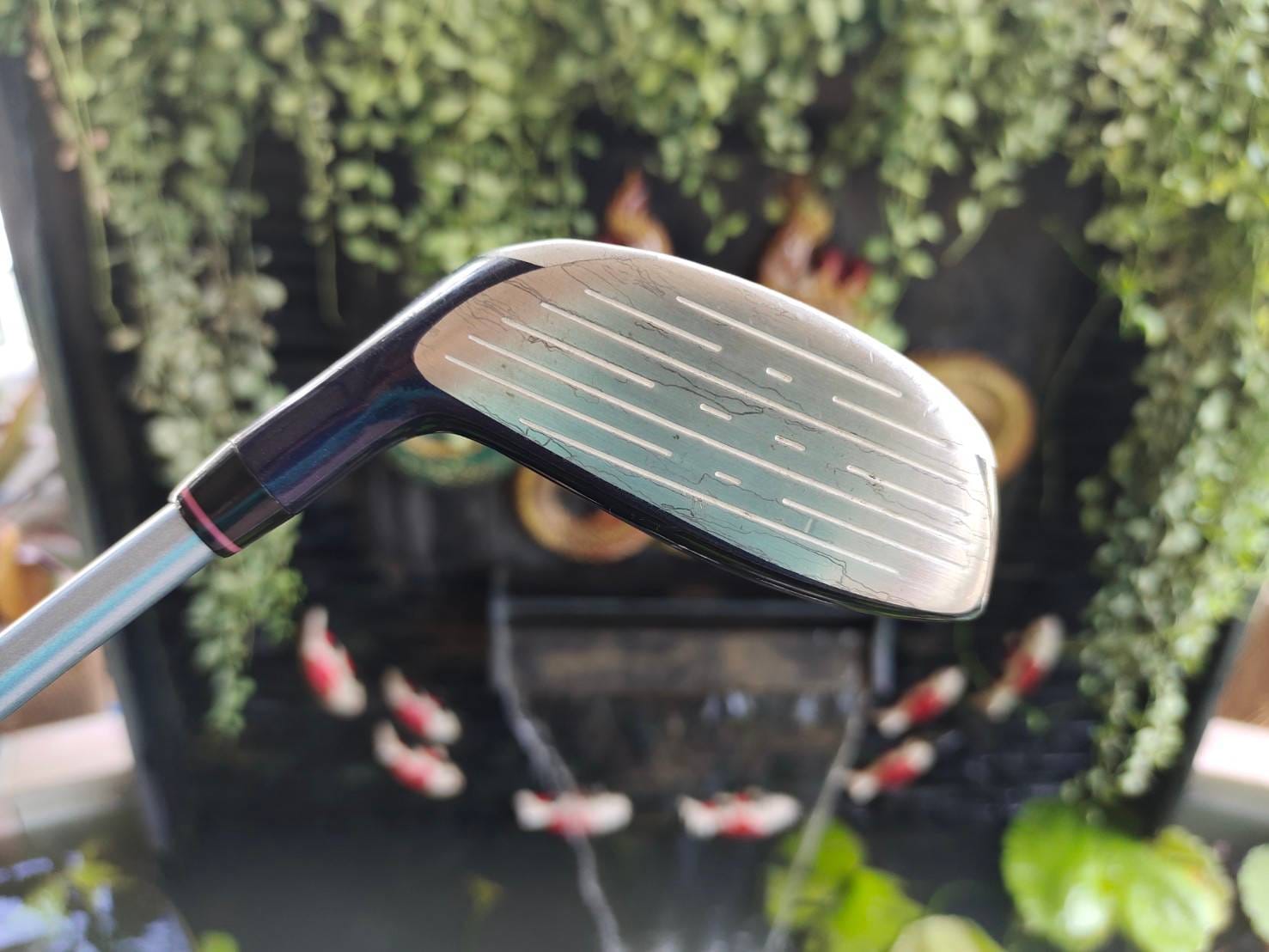 ไม้กอล์ฟสำหรับผู้หญิง FW4 ELLE GOLF