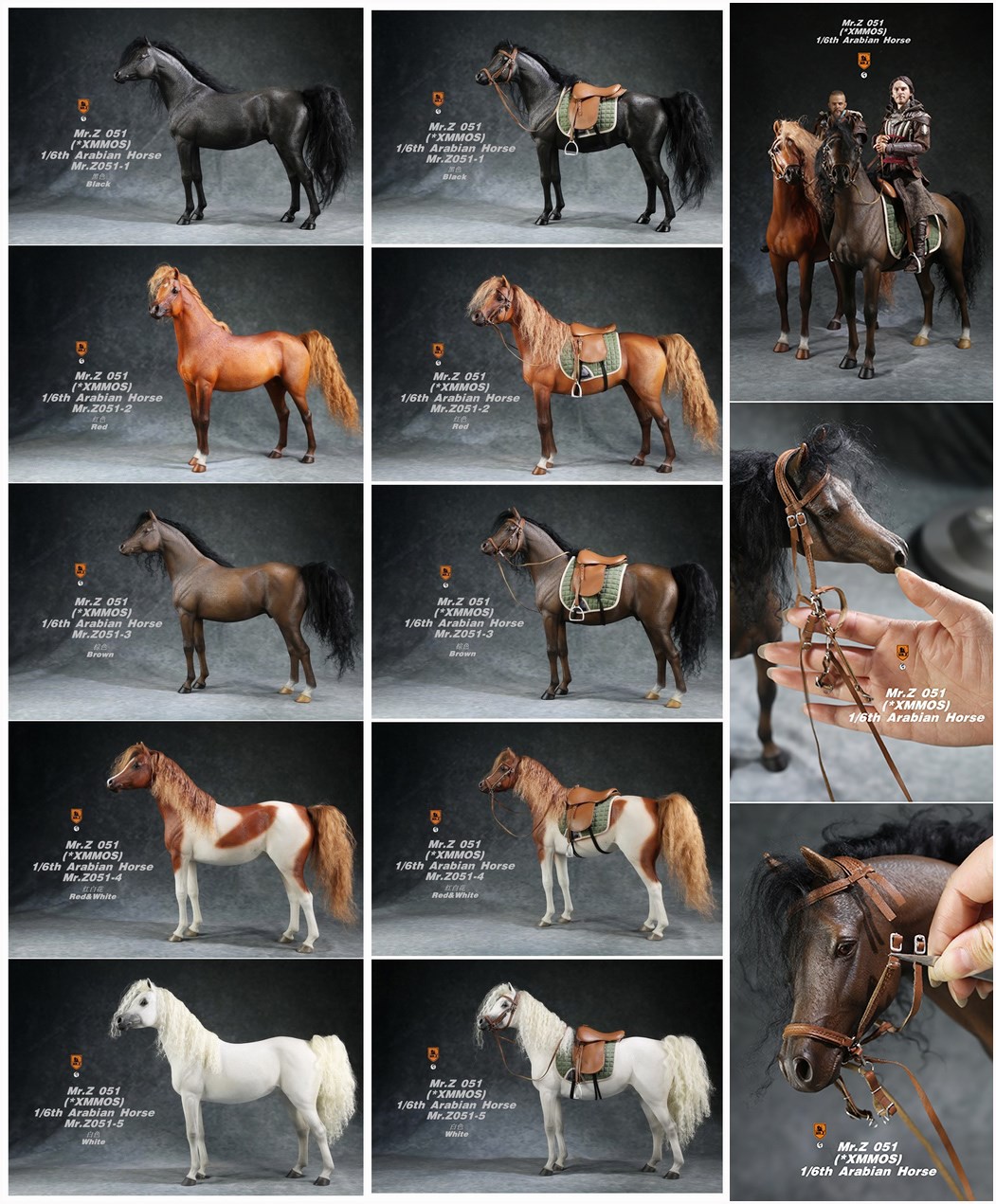 [สั่งจอง]Mr.Z MRZ051 1/6 animal model : Arabian Horse